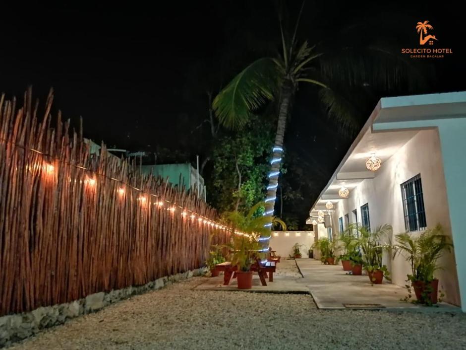 Hotel Apartaments Solecito Bacalar - Free Bikes & Paddle Exterior photo